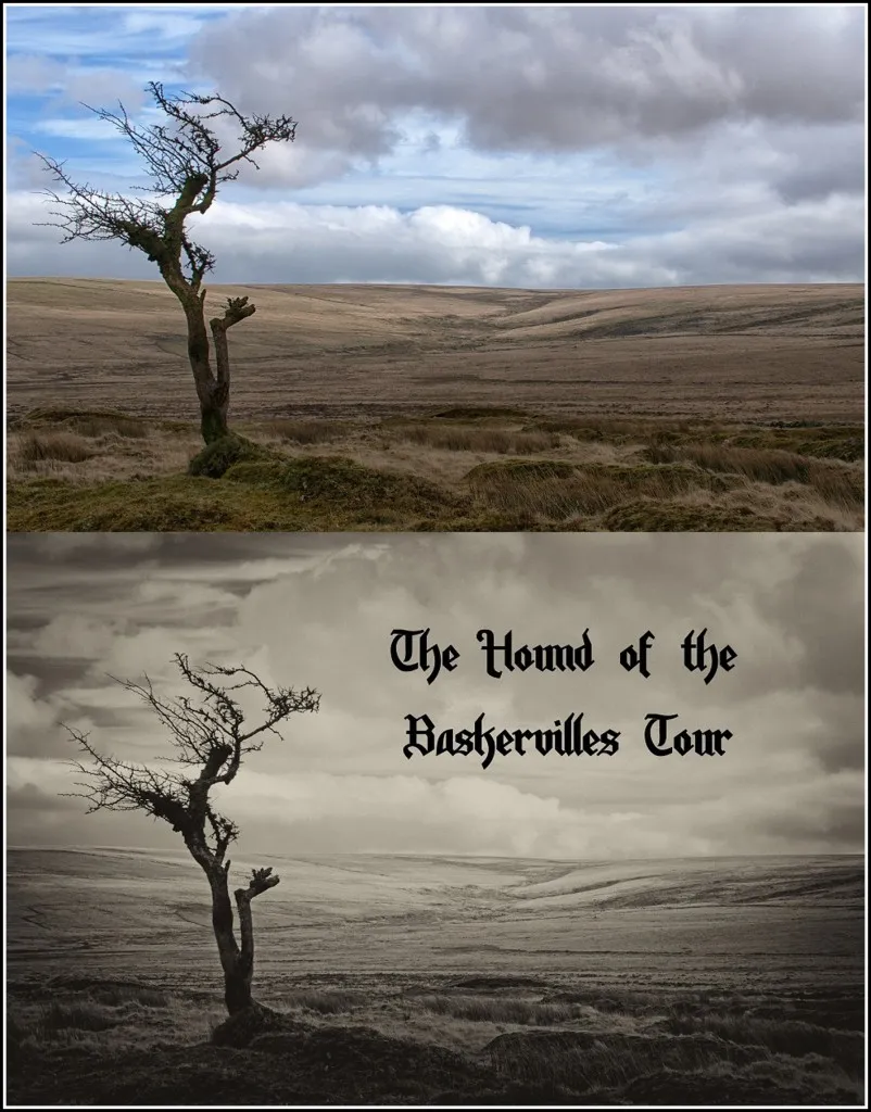 3 - Fox Tor Before and After