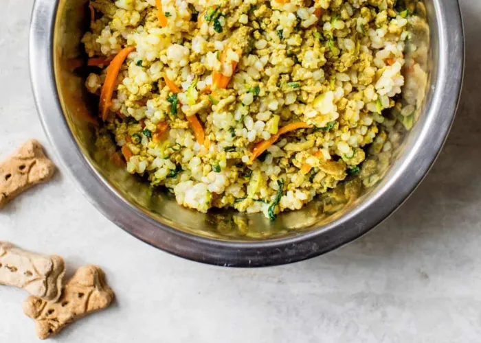 A baked casserole dish with chicken, rice, broccoli, and carrots for dogs