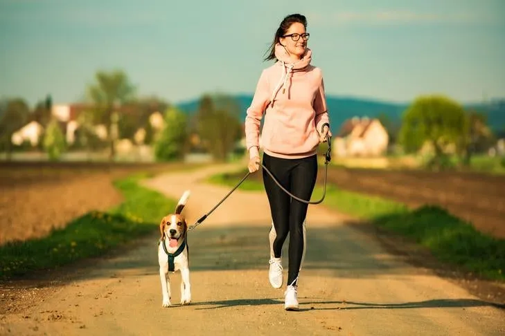 A Beagle on a leash running with a woman on a trail.