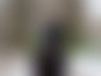 A black dog with a leash looking lost