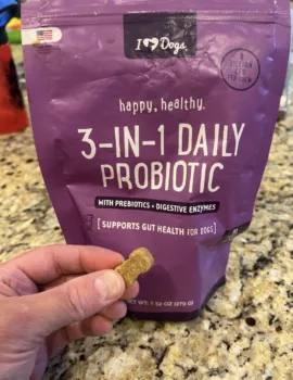 A bottle of dog probiotic chews, illustrating a common supplement used for sensitive canine stomachs.