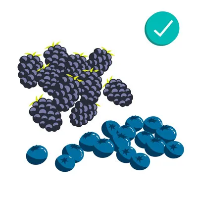 A bowl of blueberries and blackberries, showcasing healthy, antioxidant-rich treats for dogs.