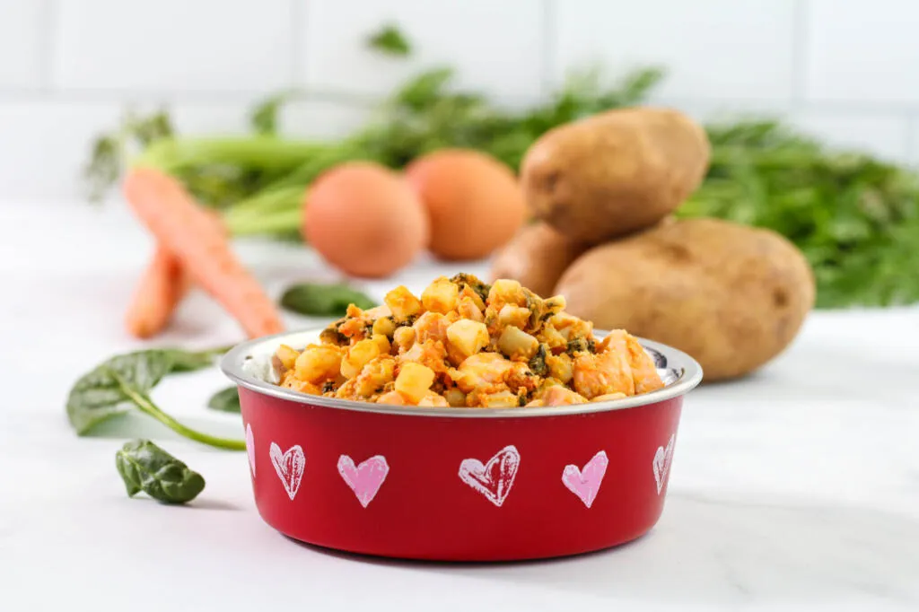 A bowl of salmon dog food, ready for serving.