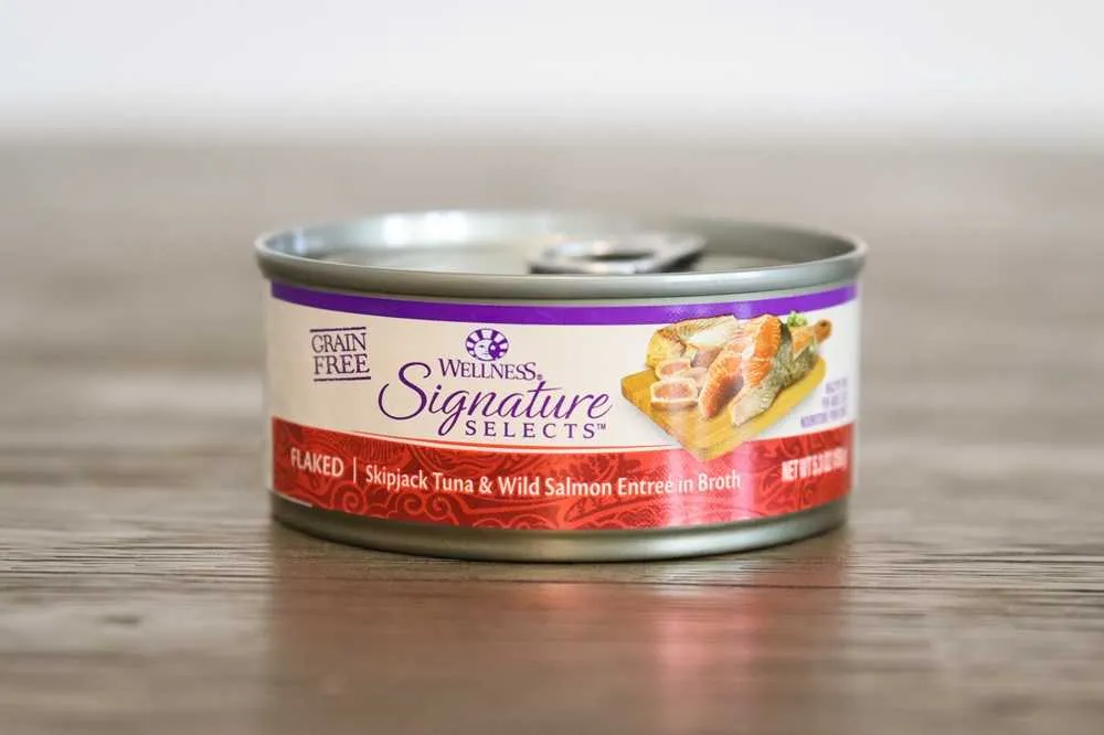 A bowl of Wellness Signature Selects Flaked Skipjack Tuna & Wild Salmon Entree in Broth, showing distinct flakes in broth