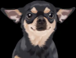 A cartoon illustration of a dog wearing a small medical mask