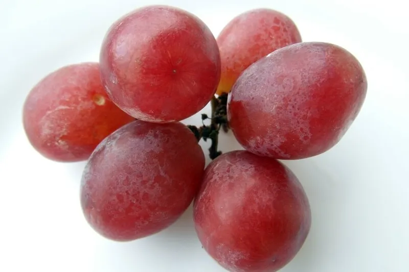 A cluster of fresh grapes, representing a hidden danger to dogs.