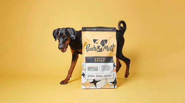 A Doberman dog, standing behind a bag of our Soft &amp; Shiny food, against a mustard-coloured background