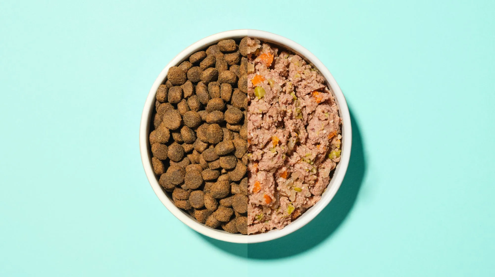A dog bowl creatively divided into two halves, one filled with soft, moist wet food and the other with crushed or softened dry kibble, against a blue background, demonstrating feeding options for dogs with bad teeth.