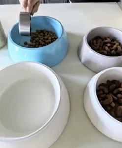 A dog bowl with a scoop of high-quality kibble, forming the base for a blended meal with homemade dog food.