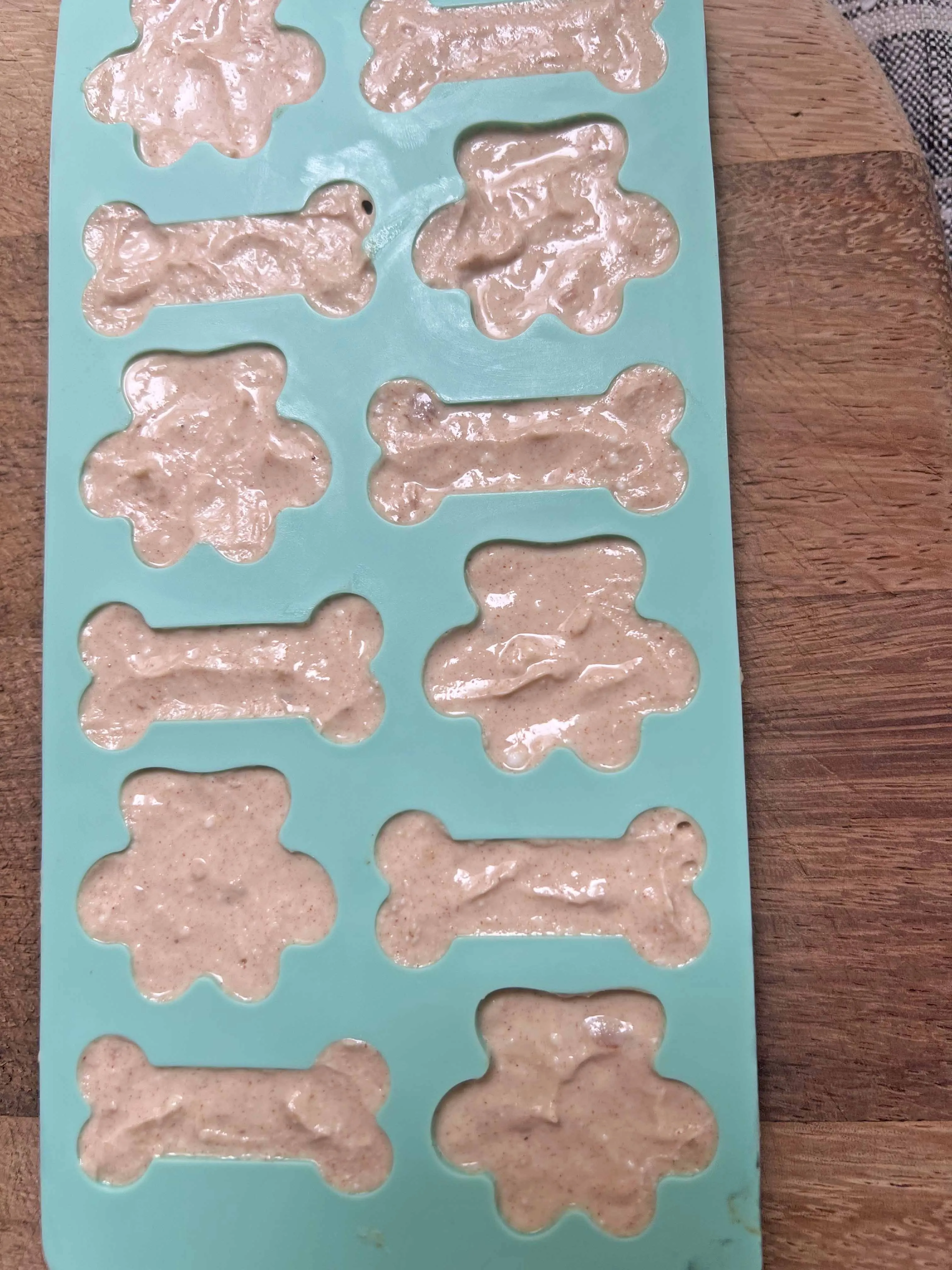 A dog enjoying a homemade frozen treat