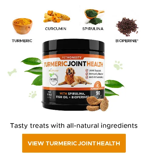 A dog enjoying a supplement