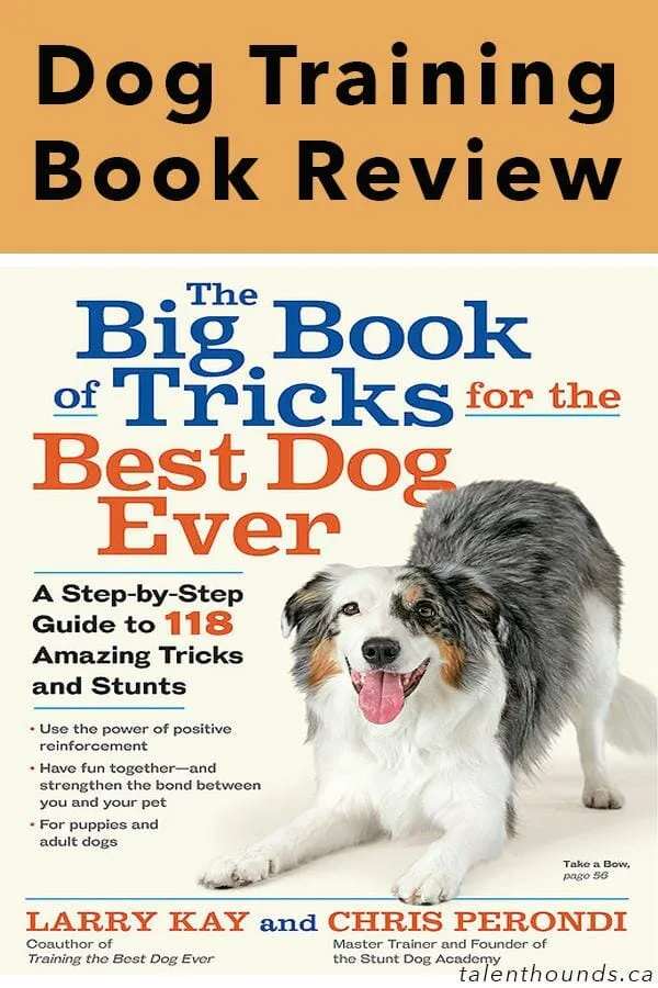 A dog enthusiastically performing a trick with its owner