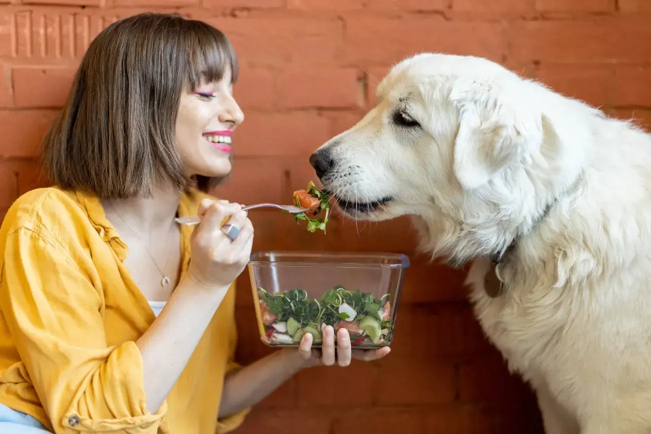 A dog happily eating a fresh vegetable treat