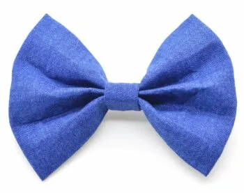 A dog happily wearing a stylish bow tie collar.