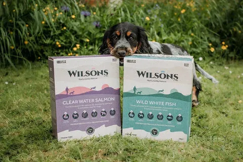 A dog interacting with a bag of Wilsons Cold Pressed dog food.