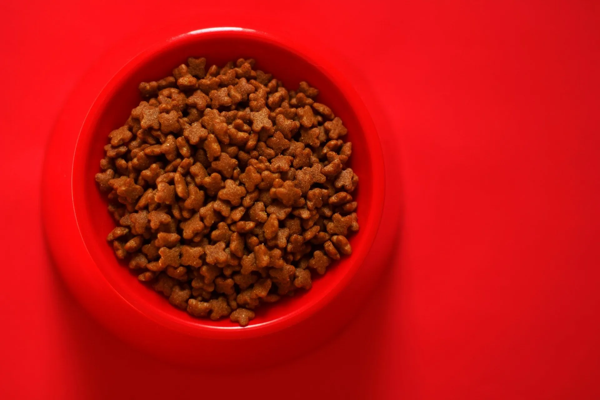 A dog is enthusiastically eating food from its bowl.