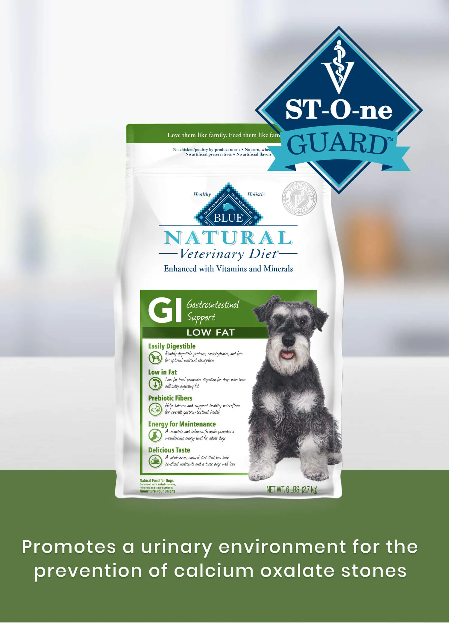 A dog looking healthy and active, with a bowl of low-fat dog food in front of it