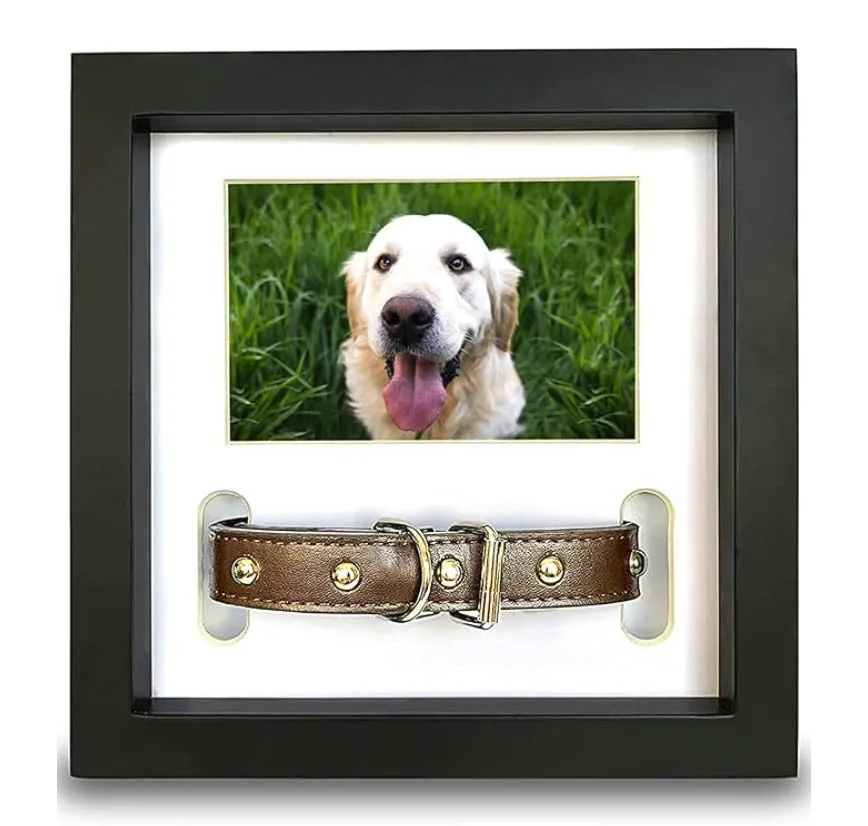 A dog memorial frame with a collar, set in a shadow box, designed to beautifully preserve and display cherished mementos of a beloved pet