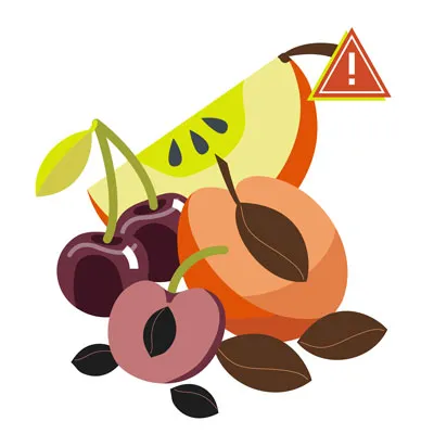 A dog sniffing at a bowl containing apple, apricot, cherry, and plum seeds/pits
