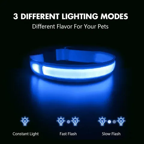 A dog wearing a bright blue waterproof LED dog collar on a nighttime walk, the collar clearly visible against the dark background.