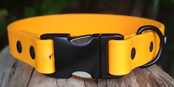 A dog wearing a bright orange Biothane collar on a beach