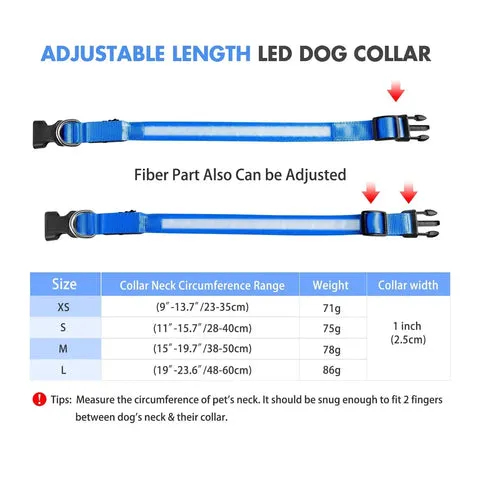 A dog with a glowing green LED collar, seen from the side profile, highlighting the illuminated strap.