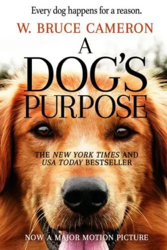 a dog