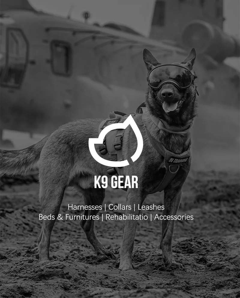 A dog's paw with a zinc alloy D-ring on a tactical dog vest, highlighting the secure attachment point.