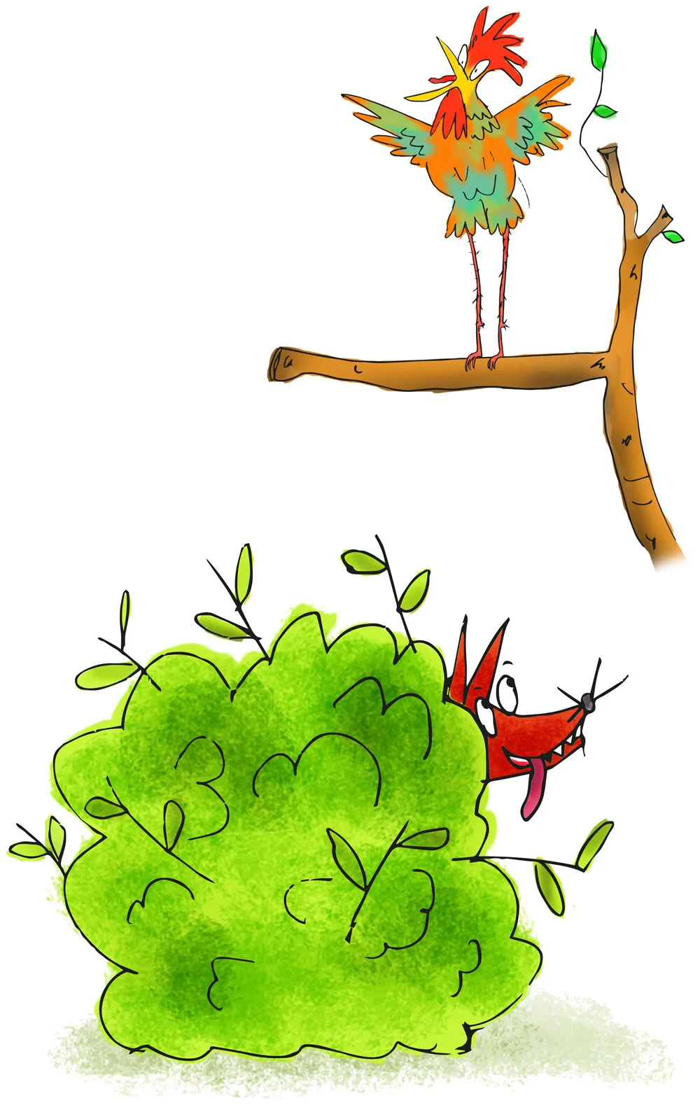 A fox peeks out from behind a bush, looking up at a rooster perched on a branch.