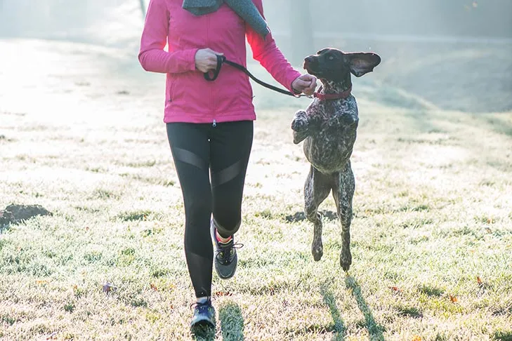 A German Shorthaired Pointer running with a woman in the early morning light.