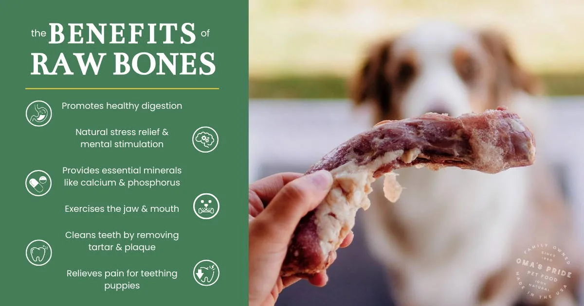 A graphic illustrating six benefits of bones, positioned next to a dog behind a chicken neck.
