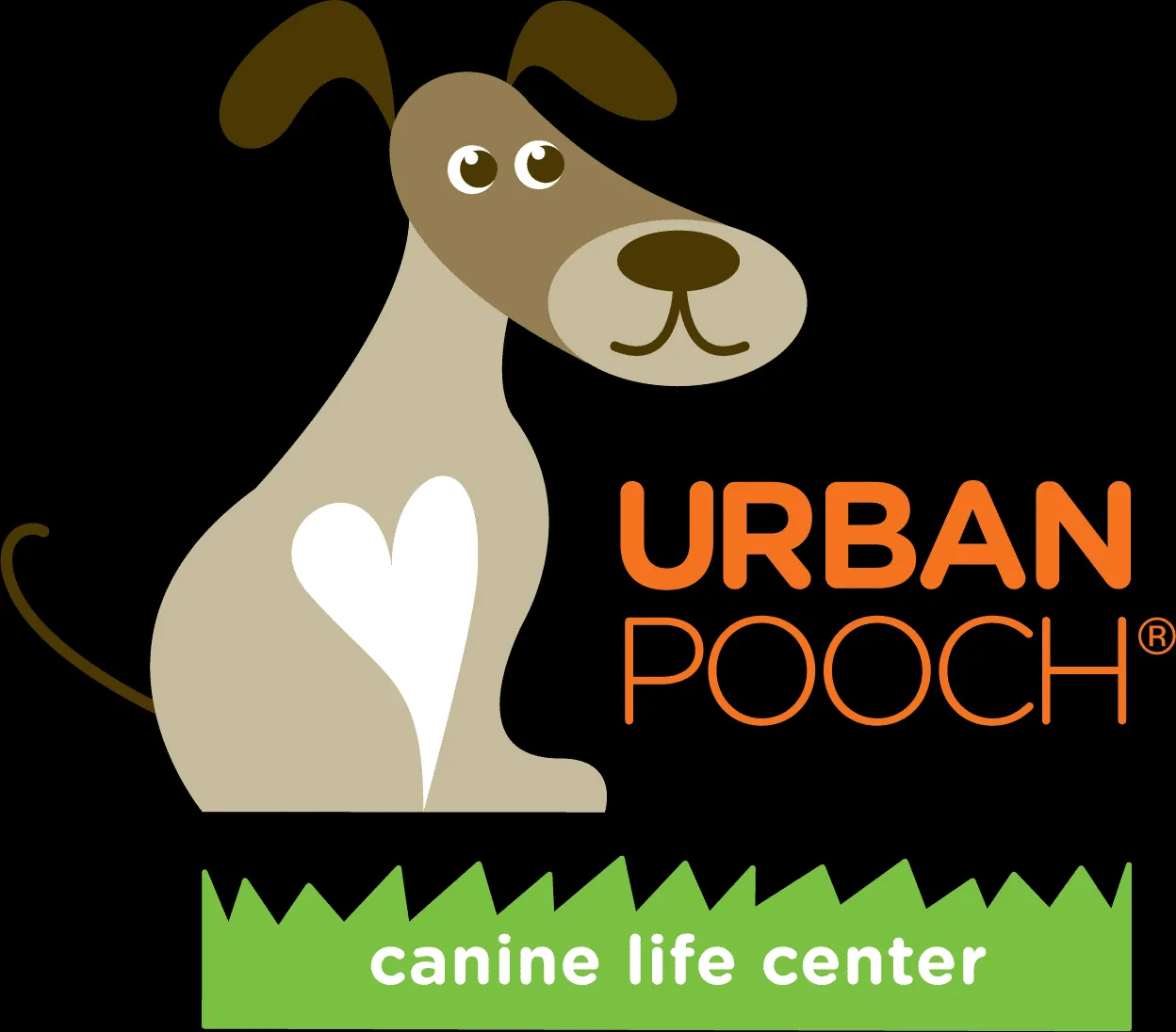 A group of dogs playing happily at an urban dog daycare, showcasing their joyful interactions.