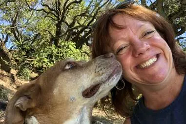 A happy dog being walked by a professional pet sitter in a park