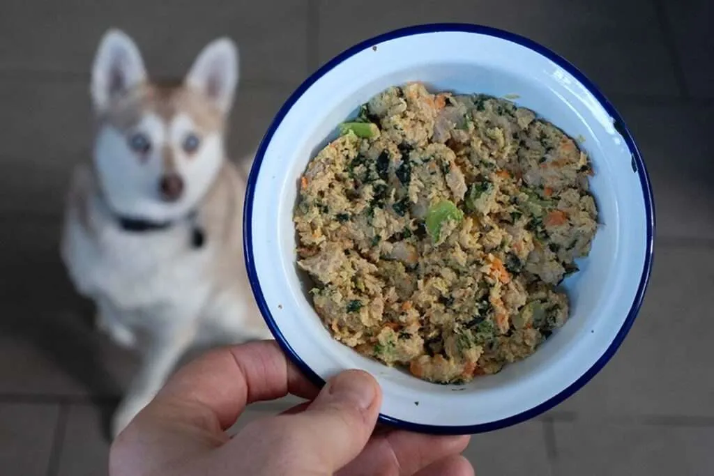 A happy dog looking at a bowl of The Farmer's Dog food
