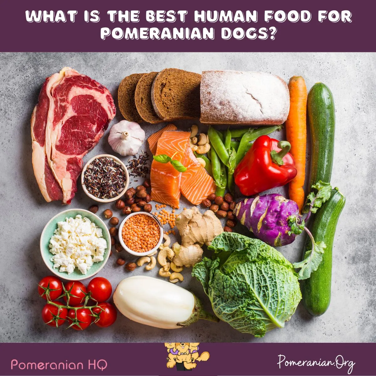 A happy Pomeranian dog looking at a variety of fresh human foods like fruits and vegetables, illustrating what can Pomeranians eat that is human food safely.