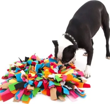 A high-quality snuffle mat for nosework and treat finding