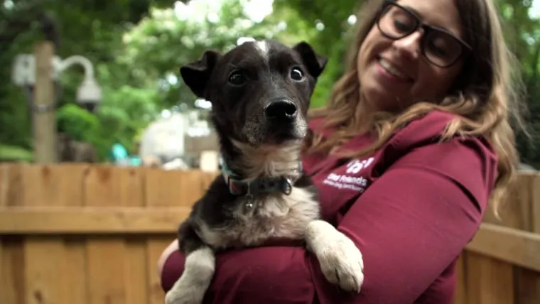 A joyful, small dog is lovingly held at Old Friends Senior Dog Sanctuary in Tennessee.