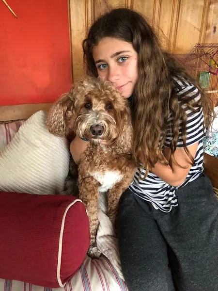 A Labradoodle named Ozzy (4 years old), known for his cuteness, friendliness, and awesomeness.