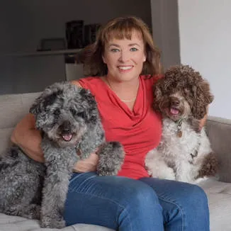 A Labradoodle named Sherman Junior (3.5 years old), a lovely silly boy reminiscent of his mom Ally.