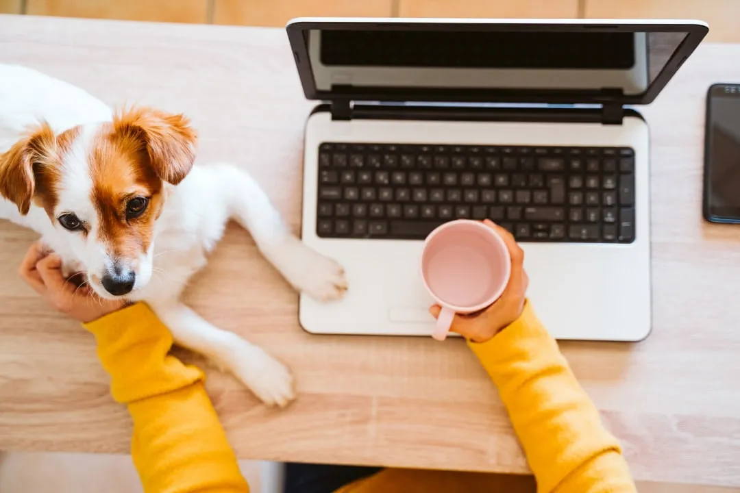 A laptop with a cute puppy sitting next to it, symbolizing business and pets.