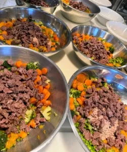 A large quantity of diverse, freshly prepared ingredients, including venison, ready to be combined into a batch of homemade dog food.