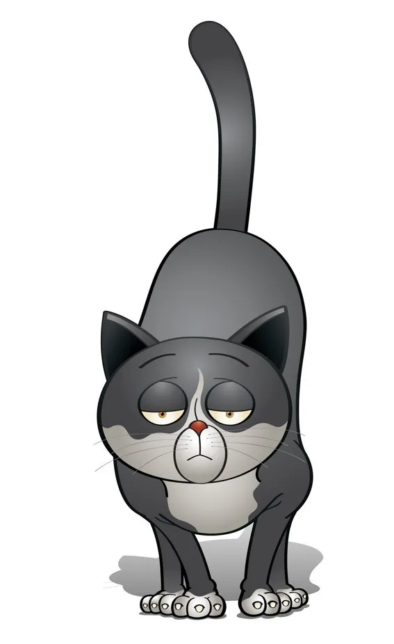 A lethargic cat showing signs of illness