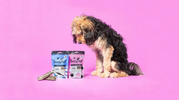 A long-haired black and brown dog alongside fish hide chews, demonstrating natural alternatives for reducing dog tartar and plaque.