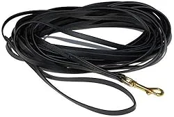 A long training leash for safely exercising high-energy dogs during dog minding appointments.