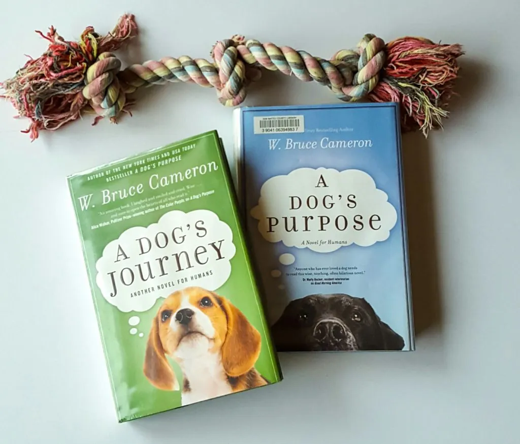 A loyal canine companion reflecting the deep connection and purpose in a dog's journey.