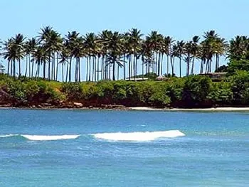 A luxurious resort setting with a large swimming pool and palm trees, highlighting exclusive VIP areas.