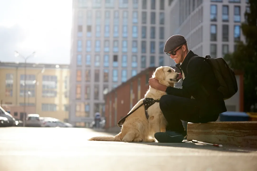 A man and his service dog navigating a busy city street, demonstrating the importance of public behavior for psychiatric service dogs.