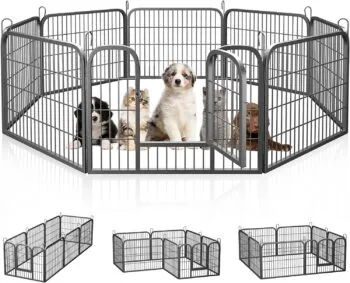 A metal puppy gate providing a contained space for a puppy