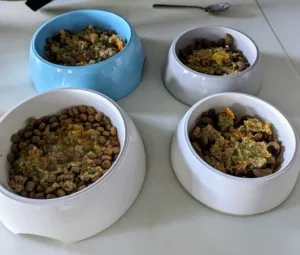 A mixed bowl of kibble, homemade dog food, and supplements, ready for serving to ensure comprehensive dog nutrition.