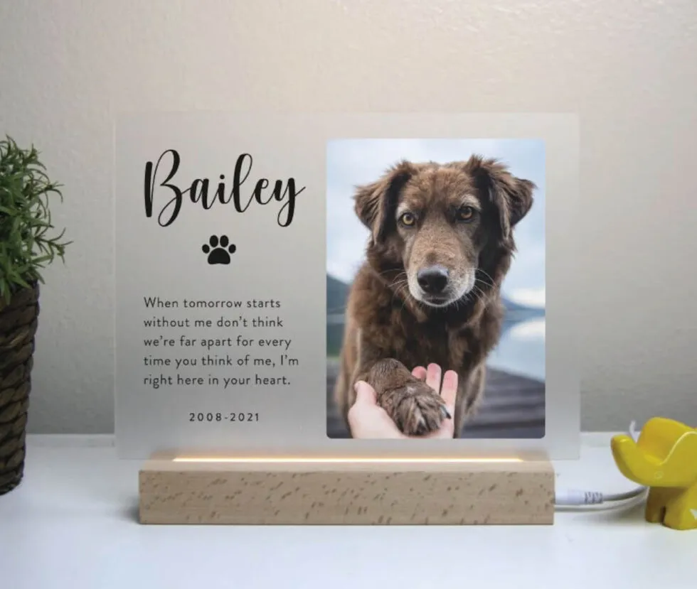 A modern, illuminated acrylic plaque designed as a pet memorial.